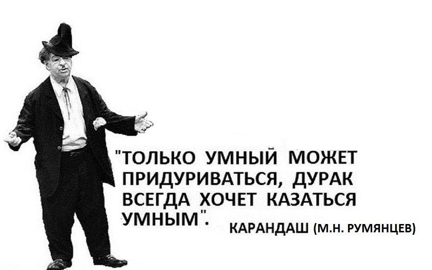 Что то умное. Высказывания о дураках. Высказывания умный и дурак. Афоризмы про дураков и умных. Красивое высказывание про дураков.