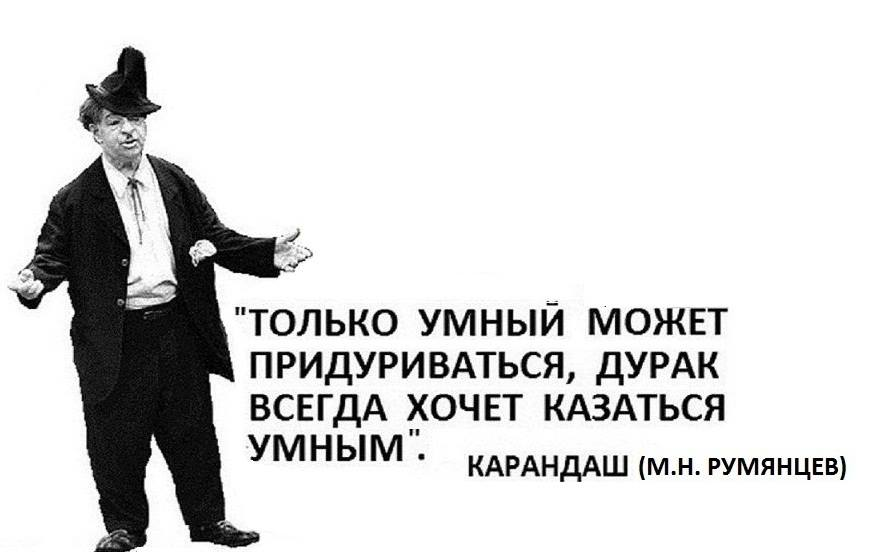 Давайте представим хотя бы. Высказывания о дураках. Высказывания умный и дурак. Афоризмы про дураков и умных. Красивое высказывание про дураков.