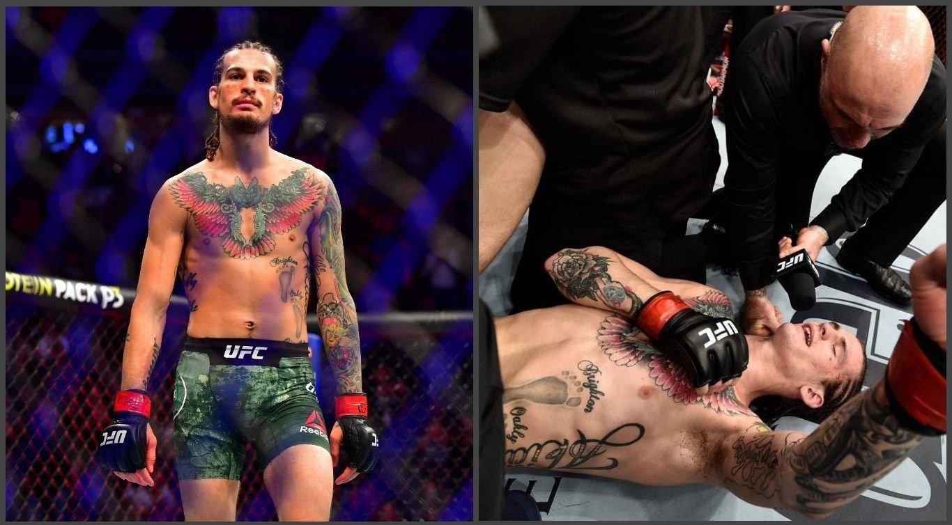 Калиндра фариа. Fight pulse akella. Женские бои. Шона грант интервью. Jon jones dana white.