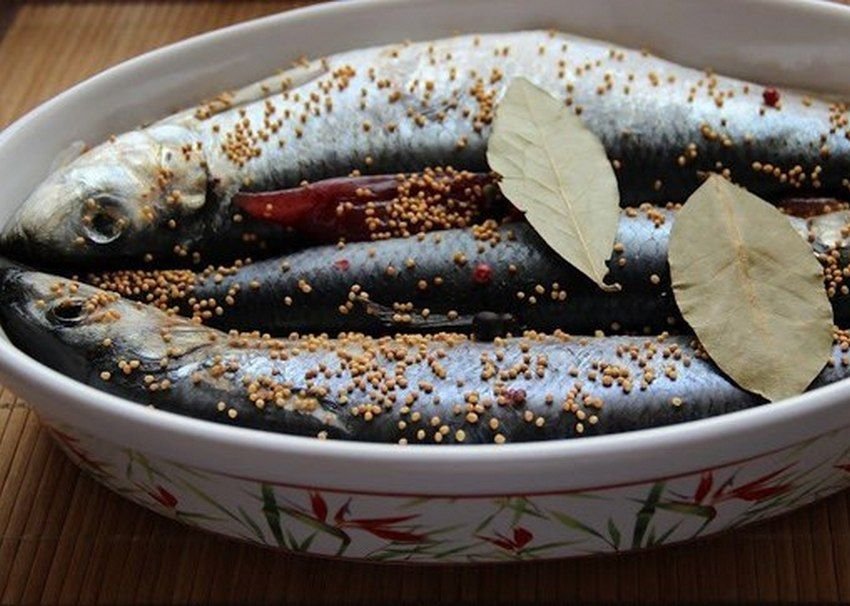 как посолить иваси в рассоле. селёдка малосольная магнит. как посолить иваси в рассоле. иваси в рассоле самый вкусный. икра ставриды.