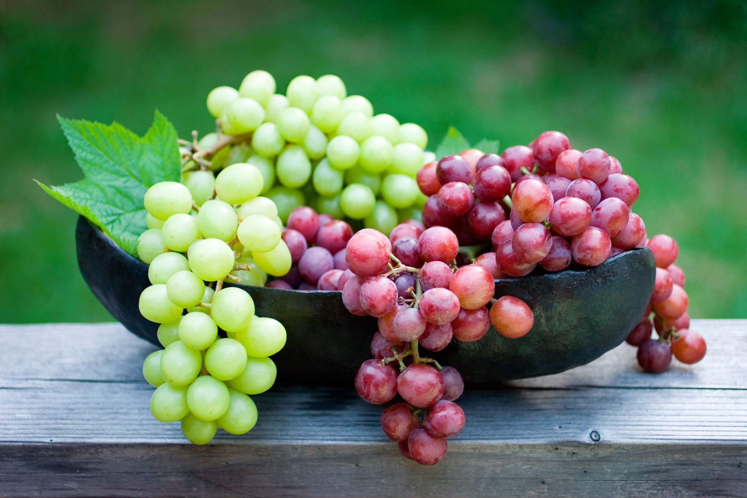 Виноград в больших количествах. Гроздь винограда. Виноград неукрывной Альфа. Фрукты виноград. Виноград зеленый.