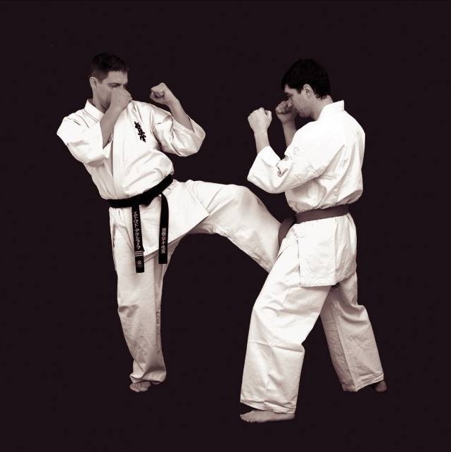 маваши гери удар. удары головой в каратэ. боковой удар ногой в карате шотокан. сергей осипов каратэ киокушинкай. каратэ маваши гери.