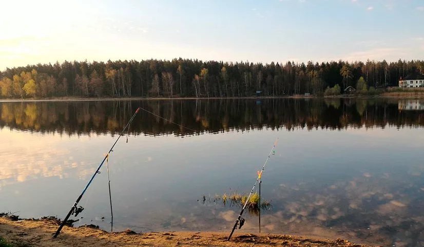 Водоемы бесплатные рыбалки. Раменский Рыбхоз Гжелка. Раменский Рыбхоз "Гжелка" - платная рыбалка. Река Гжелка рыбалка.