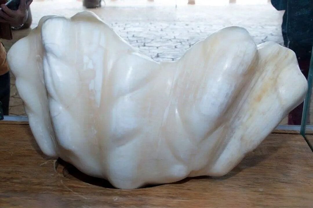 жемчужина лао-цзы. жемчужина пуэрто-принцесса. жемчужина пуэрто. 34 килограммовая жемчужина. 34 килограммовая жемчужина.