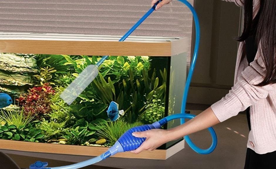 Сифонка грунта в аквариуме. Пылесос для грунта аквариума. Сифонить грунт в аквариуме. Трубка для чистик аквариума. Чистый аквариум.