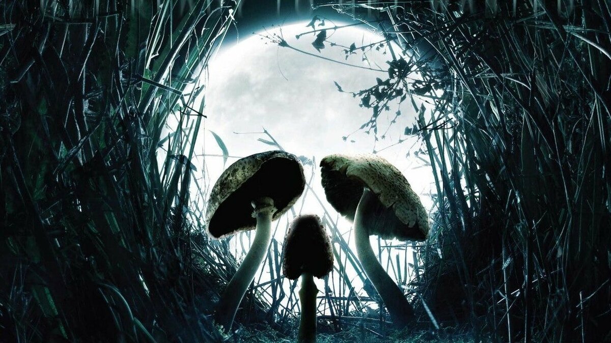 Постеры грибы - Shrooms (2007)