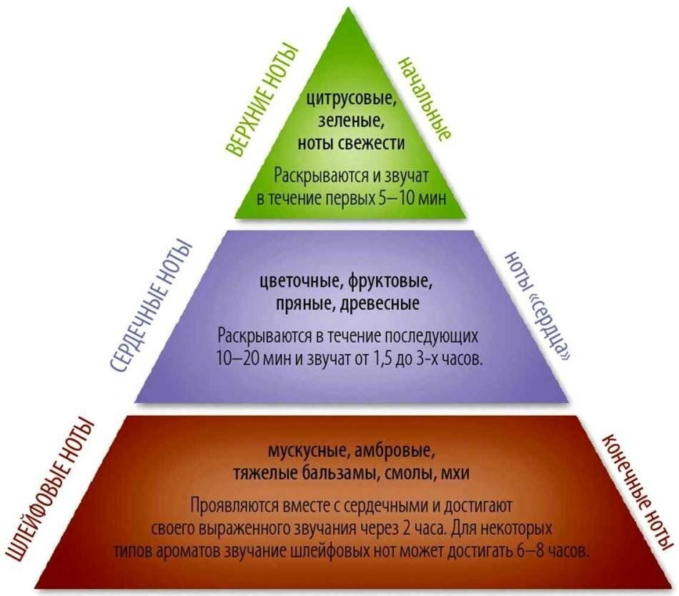 Ольфакторный. Верхние Ноты средние Ноты базовые Ноты. Пирамида аромата. Пирамида ароматов в парфюмерии. Базовые Ноты в парфюмерии.