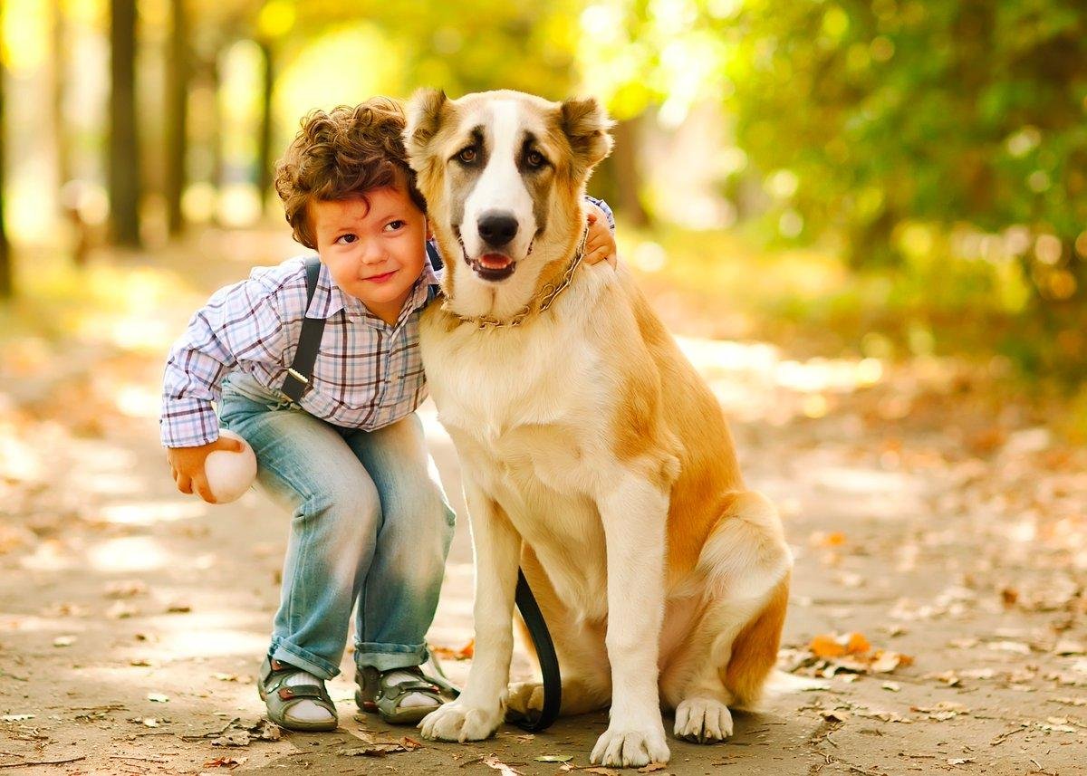 He has friends. Собака для детей. Мальчик с собакой. Собака друг человека. Малыш и собака.