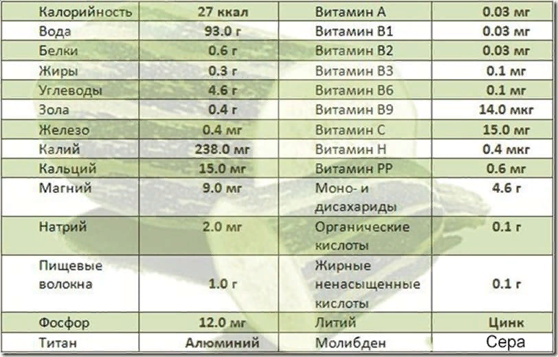 Как приготовить кабачок при холестерине