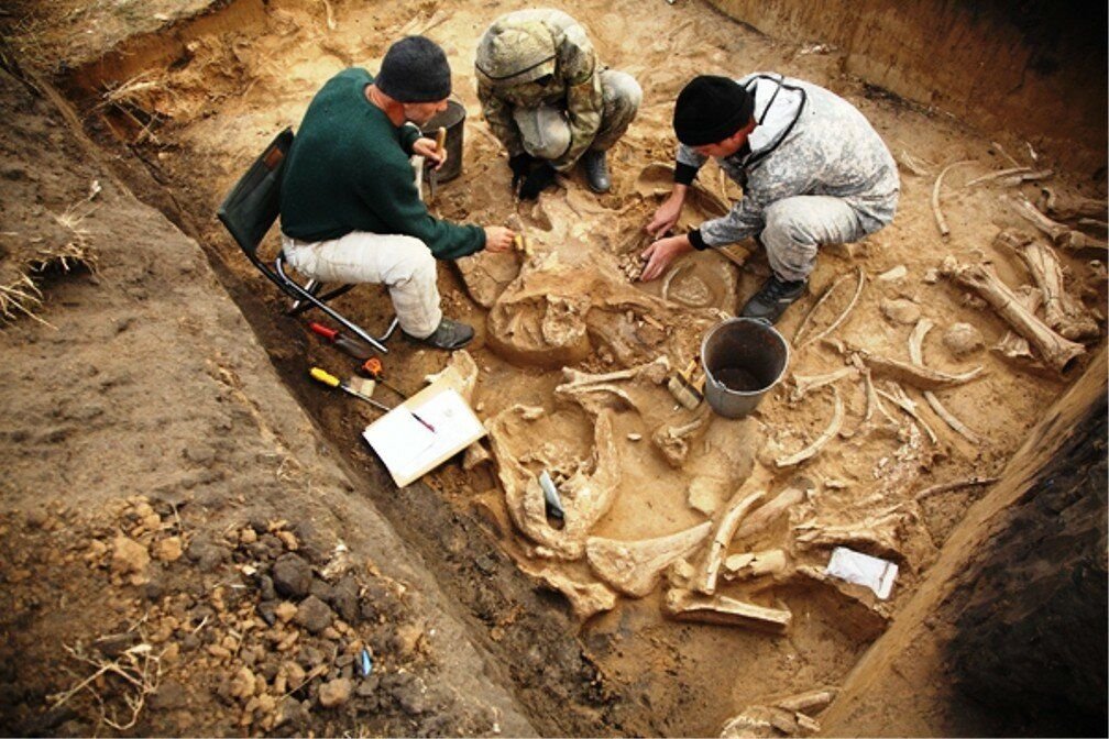 Великие археологические раскопки