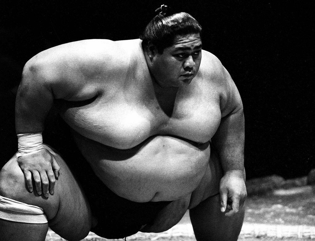 Нравлюсь толстым парням. Конисики борец сумо рост.