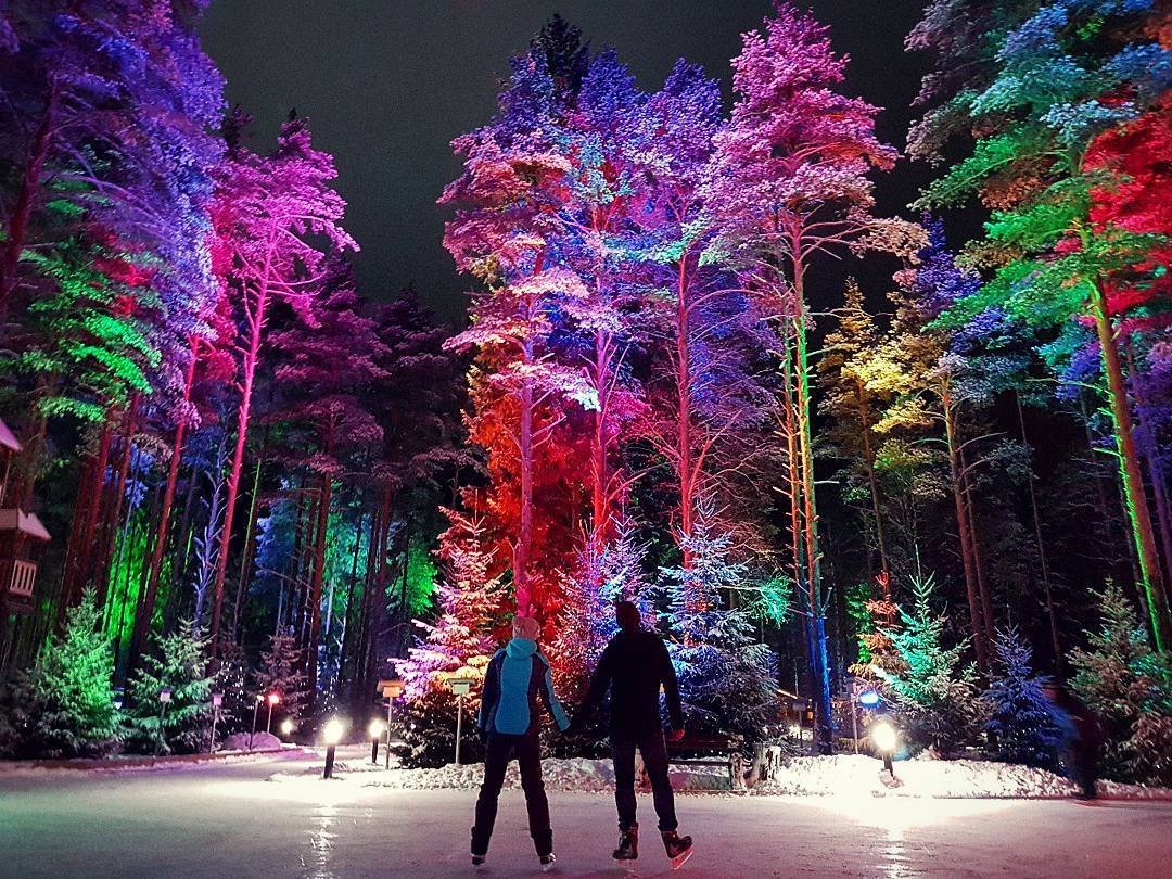 Каток в санкт петербурге в лесу