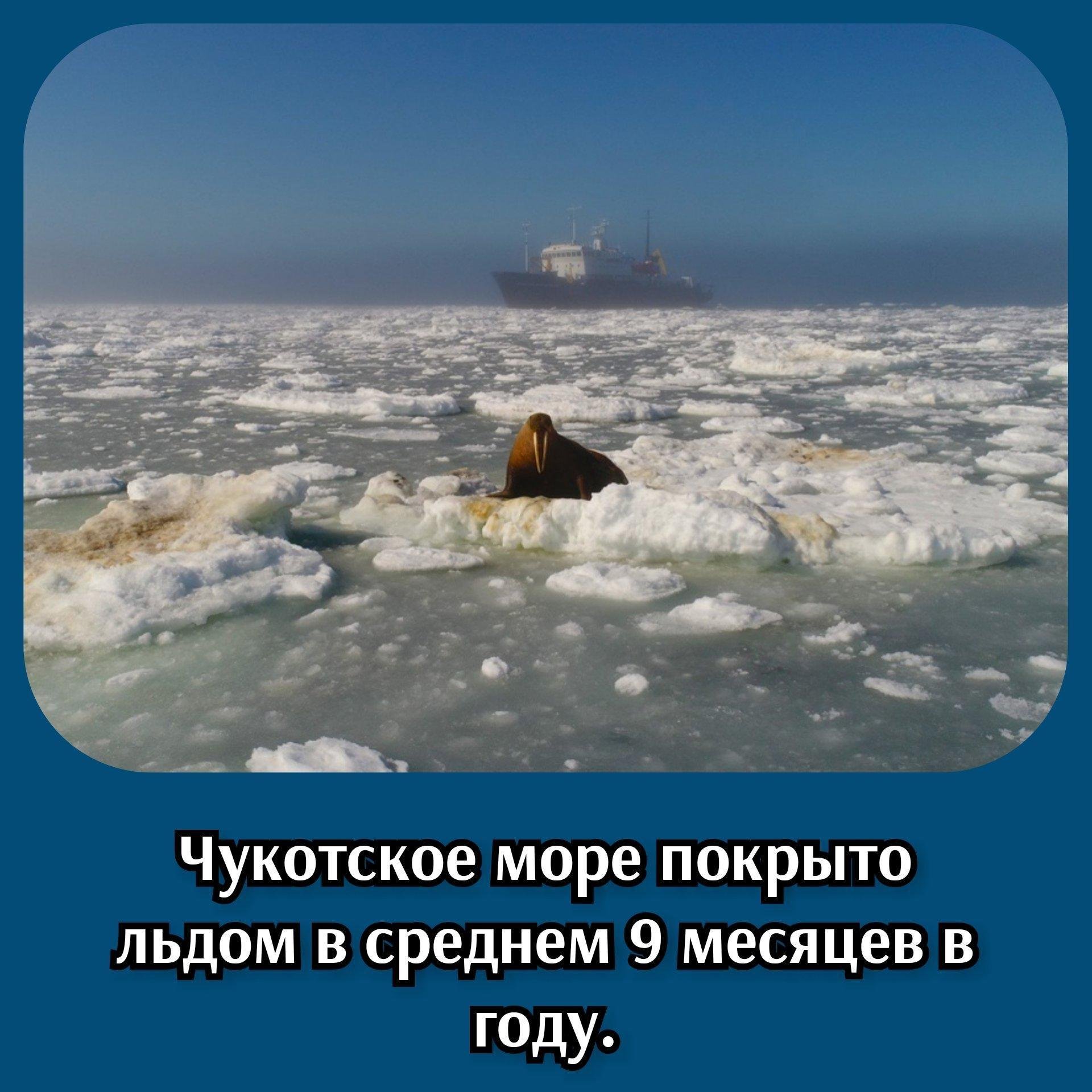 Проблемы чукотского моря