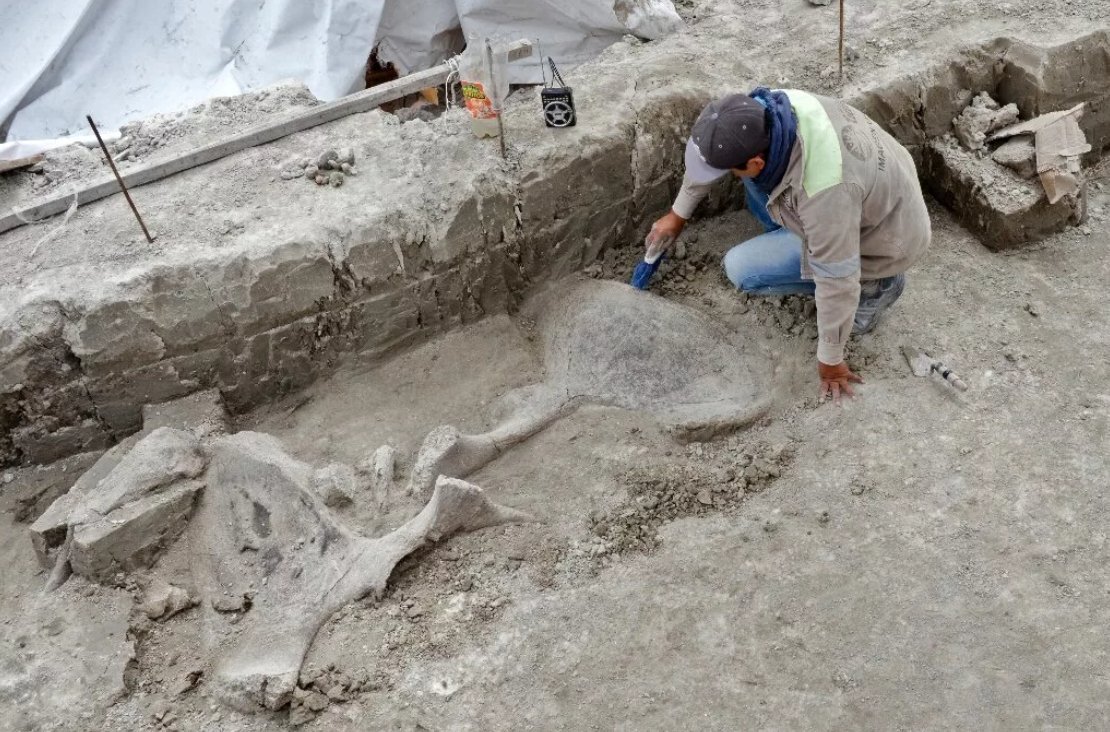 самонаучения. кастанеда цитаты. самый большой урок извлеченный в этом году. самый большой урок извлеченный в этом году. женщина в горах.