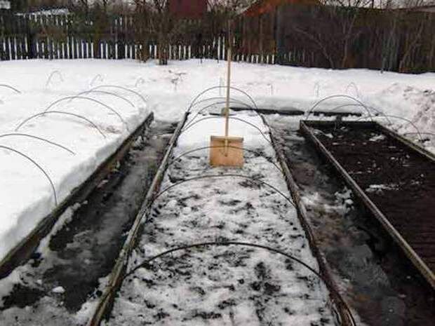 Укрываем растения на зиму. Зимняя грядка. Огород в зимнем саду. Зимняя грядка. Зимний сад при поликлинике.