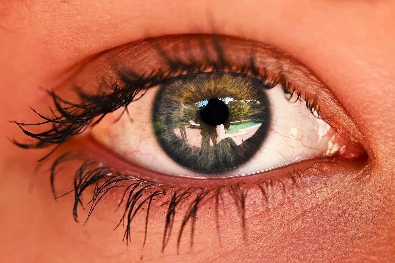 Глас. Глаз человека. Здоровые глаза. Здоровый глаз человека.