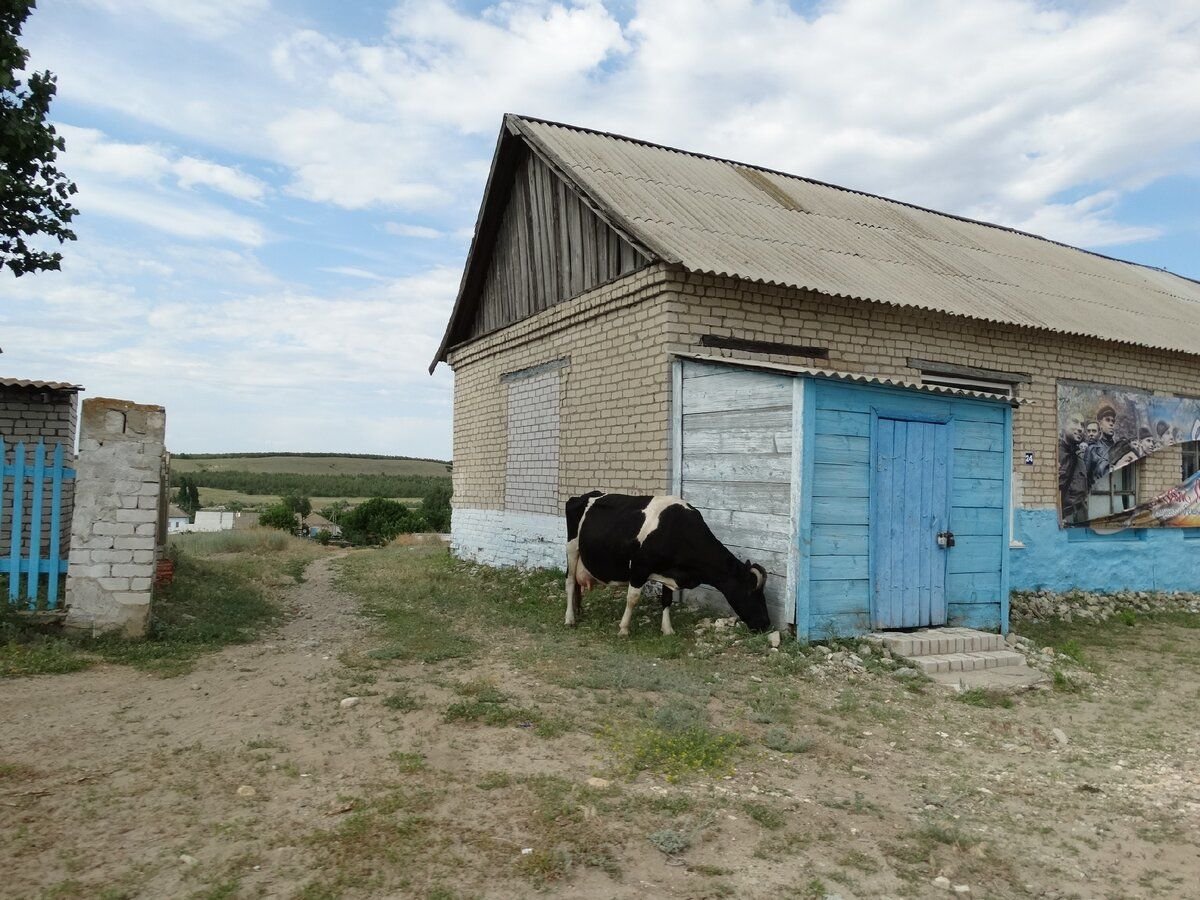 Дубовское сельское поселение