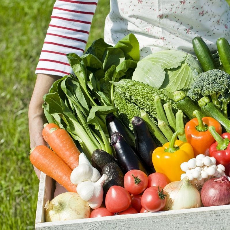Овощи на грядке. Повысить урожайность картофеля. Овощи на огороде. Овощи и фрукты с огорода. Как повысить урожай.