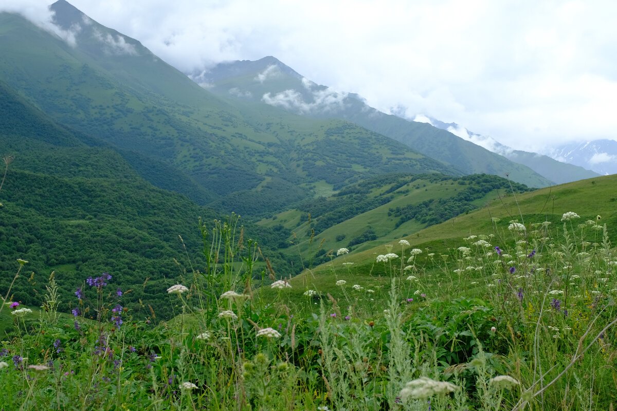 Границы северной осетии на карте. Сколько времени в осетии. Карта грузии и южной осетии и северной осетии. Сколько времени в осетии. Сколько времени в осетии.