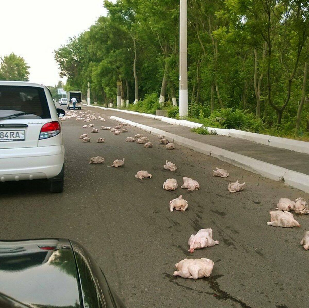 Приколы на дороге фото