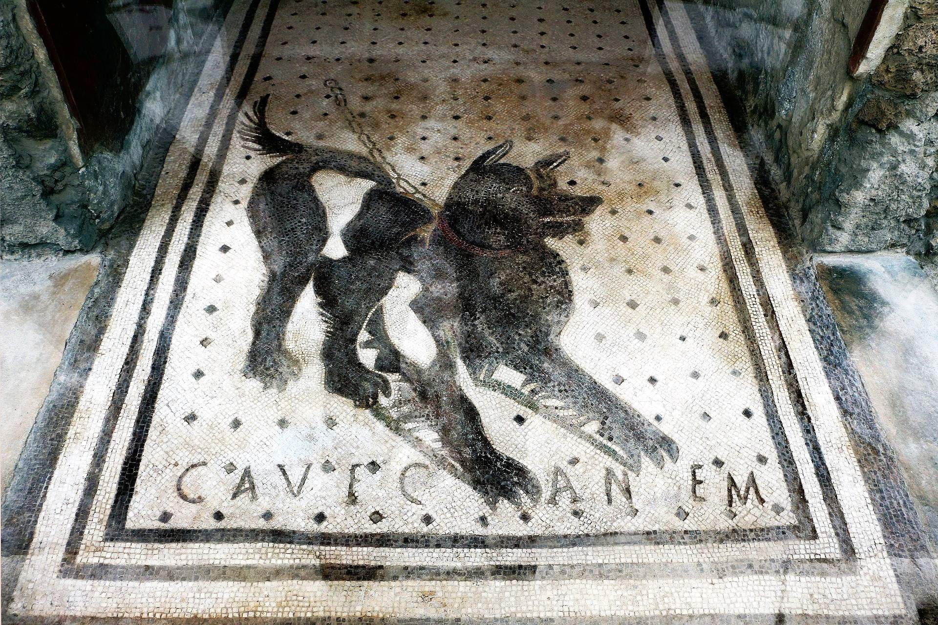 Мозаика Cave Canem из Помпей