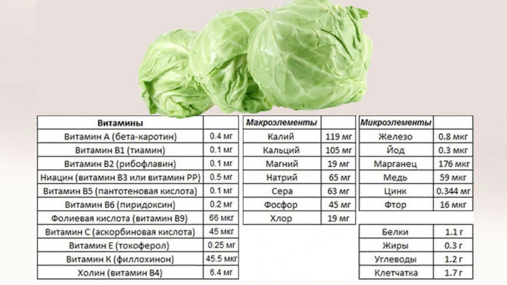 Сколько витаминов в капусте. Пищевая ценность капусты белокочанной. Состав капусты белокочанной на 100 грамм. Пищевая ценность капустных овощей. 100 Грамм капусты белокочанной.