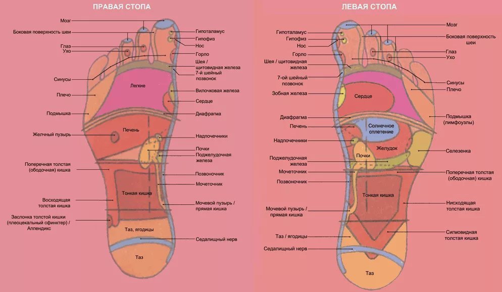 Стопы ног и внутренние органы фото с надписями для мужчин