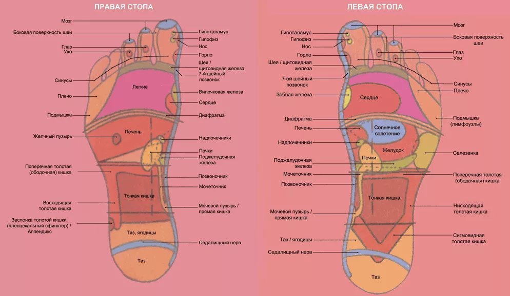 Акупунктурные точки на стопе человека схема расположения фото и описание