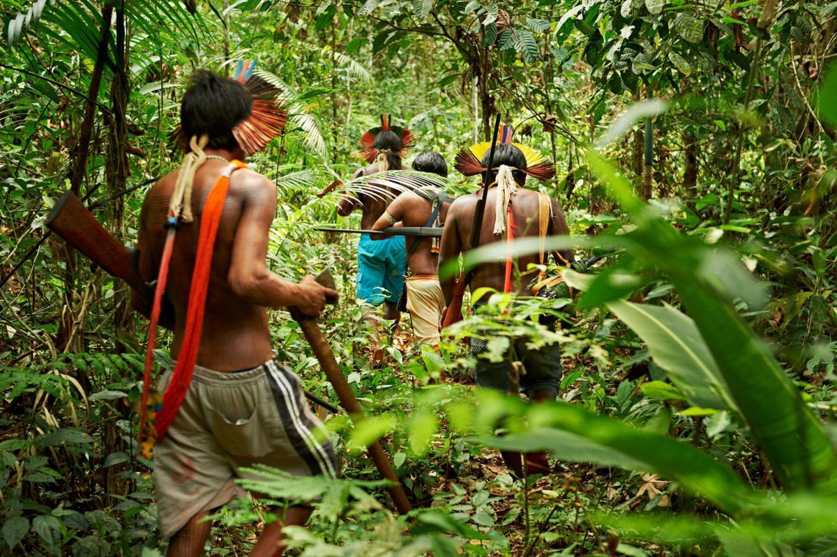 Индейцы сельвы амазонки