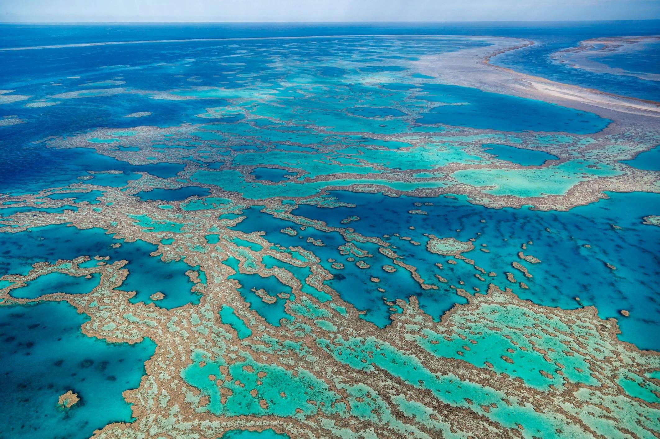 Самое большое море в мире