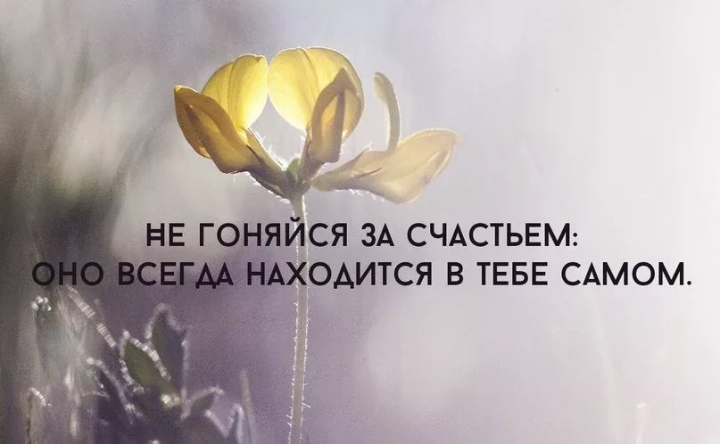 Счастье нашлось. Счастье в нас самих цитаты. Счастье всегда. Счастье рядом цитаты. Счастье внутри нас цитаты.