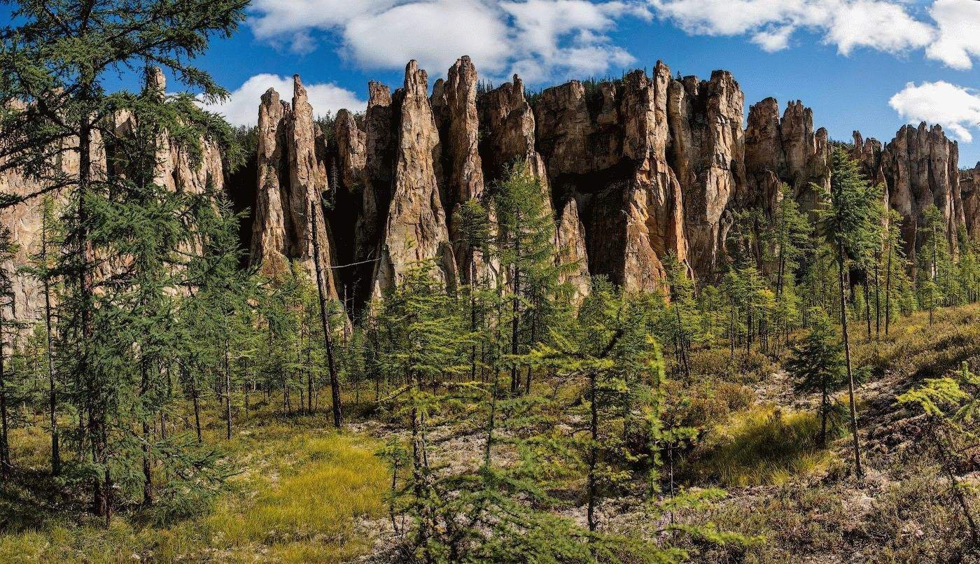 Фото каменного леса. Национальный парк “Ленские столбы”, Якутия. Ленские столбы каменный лес Якутии. Природный парк Ленские столбы фауна. Природные памятники России Ленские столбы.