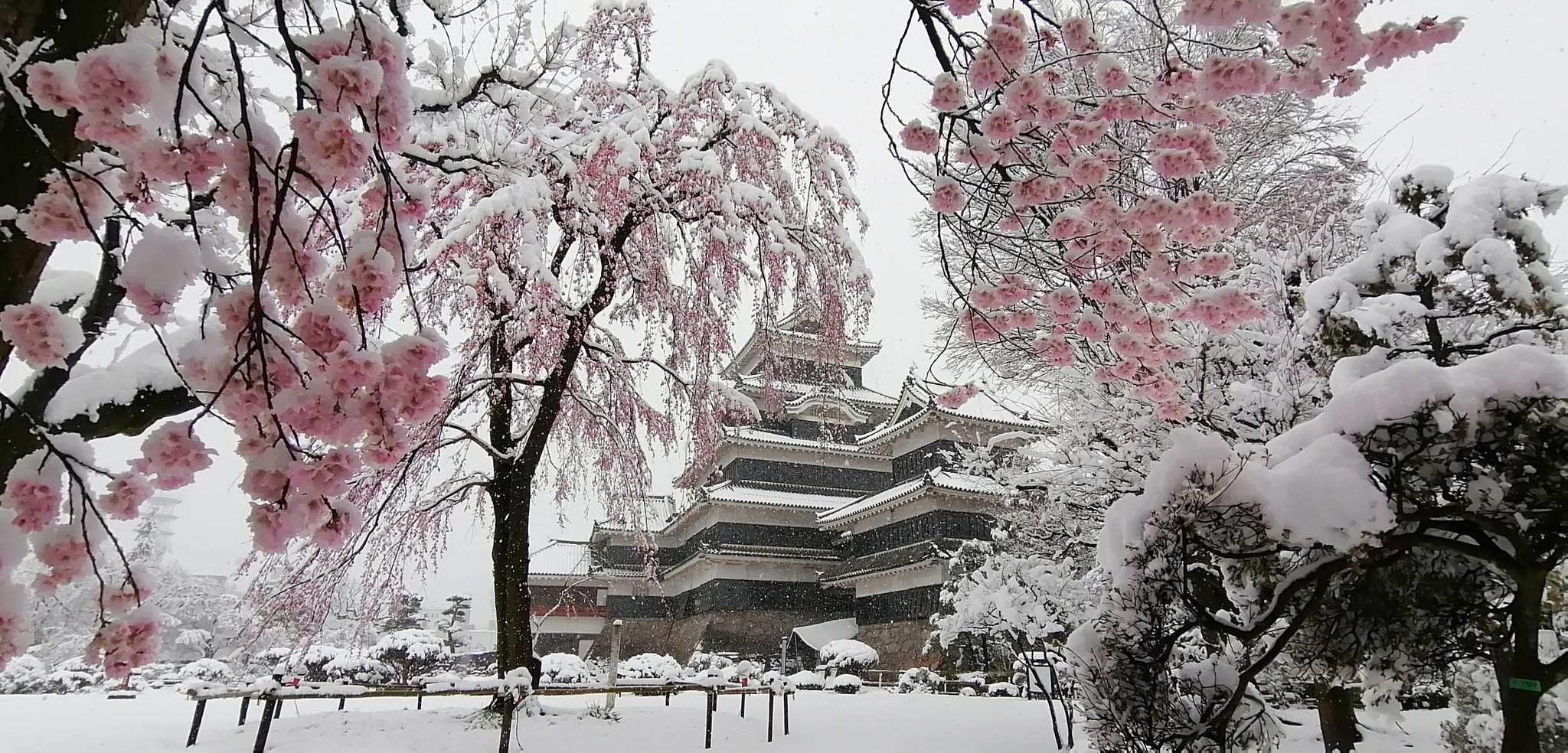 Зима на севере Японии