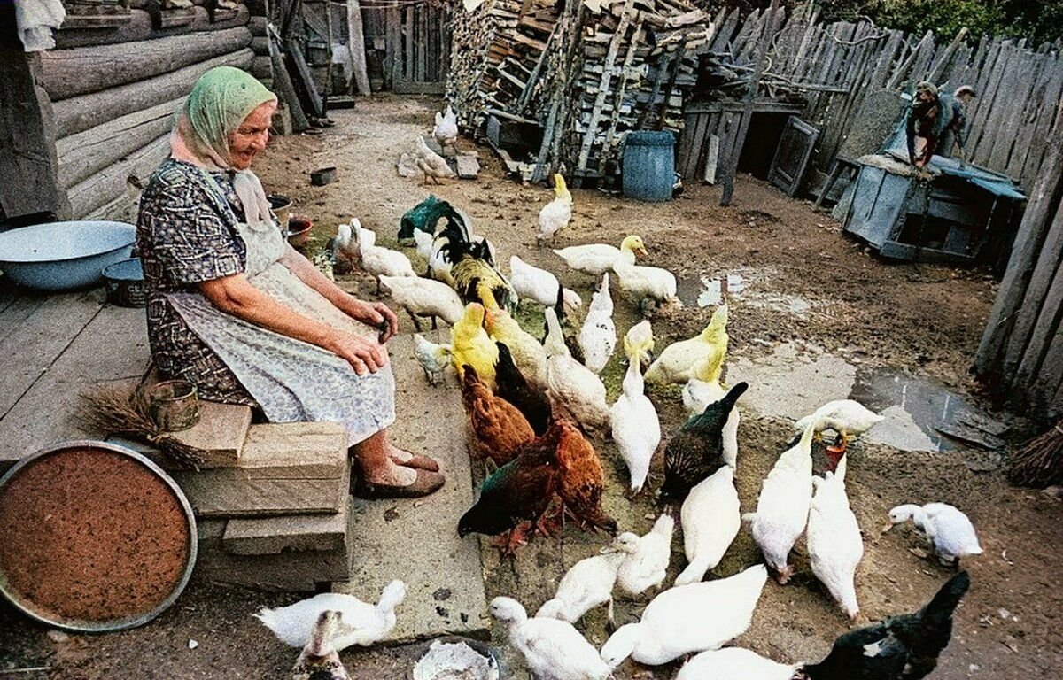 Владимир Руфинович Лагранж фотографии