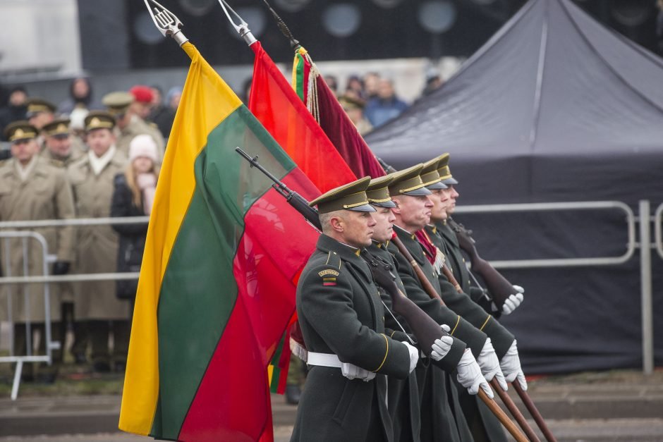 Войска литвы. Военный парад в Литве. ВВС Литвы на параде. Армия Литвы парад. Военный парад в честь 100-летия литовской армии - Вовкин - м.