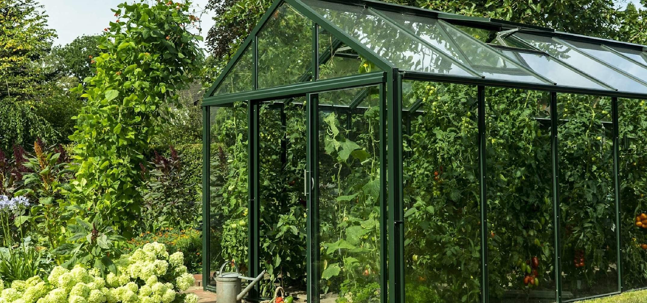 Greenhouse перевод. Теплица Green House leader стандарт 200х300см. Датская теплица. S385 оранжерея. Теплица Анны Эдеи.