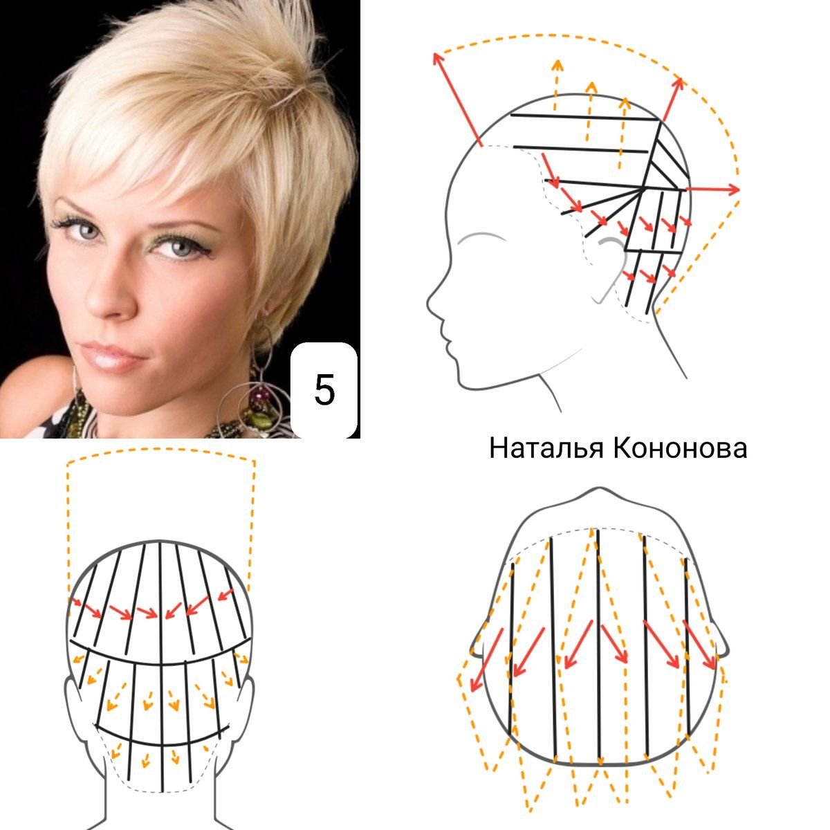 Схема градуированной стрижки на средние волосы