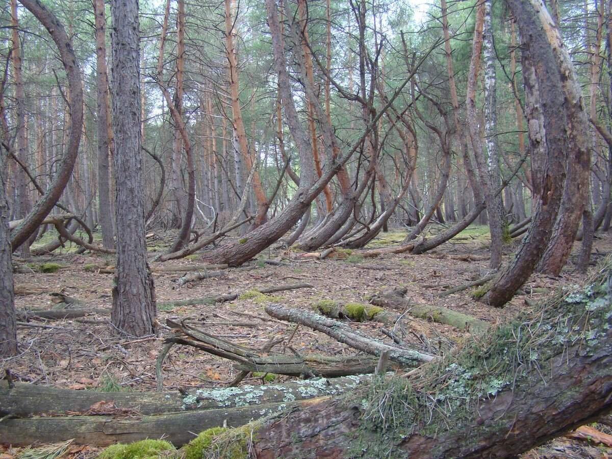 Аномалия фото в природе