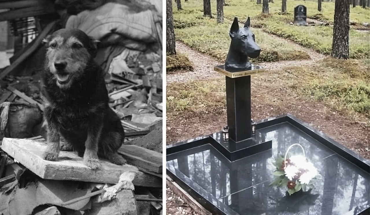 Не верю спас. Жужа Спитак могила собака. Памятник собаке в Спитаке. Памятник Жужа памятник собаке.