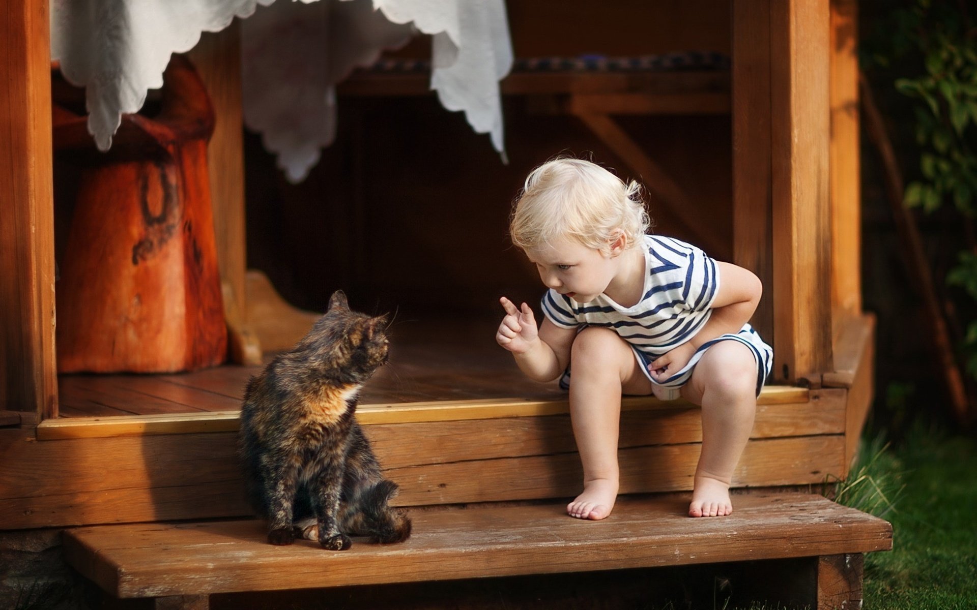 Детки играют с кисками. Для детей. Животные. Мальчик сидит на крыльце. Домашние животные для детей. Кот для детей.