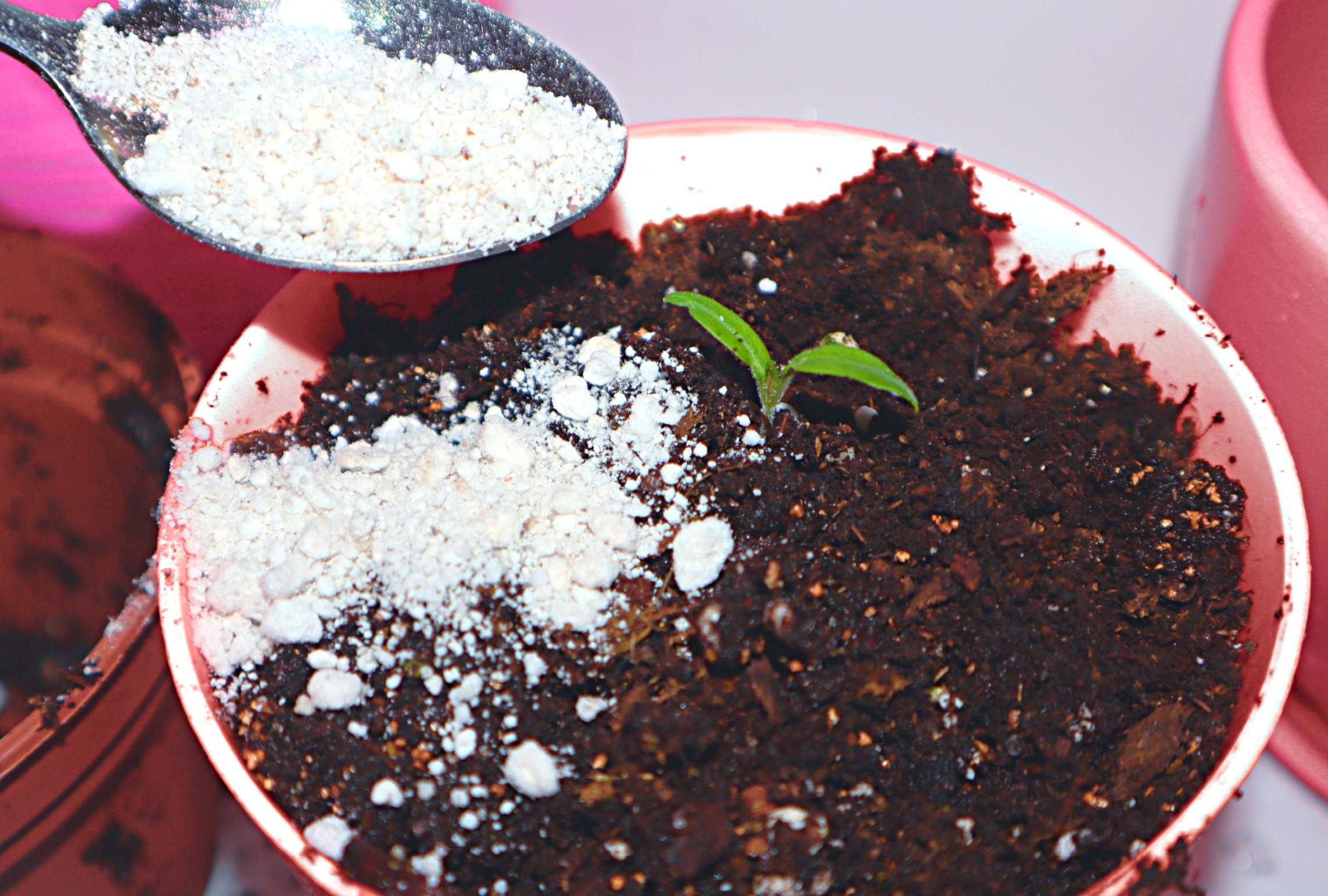 перлит для растений. перлит в гранулах фото. перлит (агроперлит). агроперлит 160 литров. агроперлит для рассады.