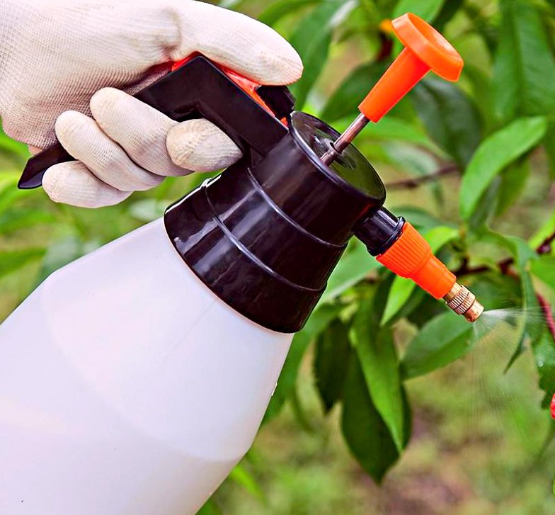 апрыскиваниедерев ьев. обработка деревьев водой. обработка сада весной в белгороде. защита растений от вредителей. пестициды и агрохимикаты.