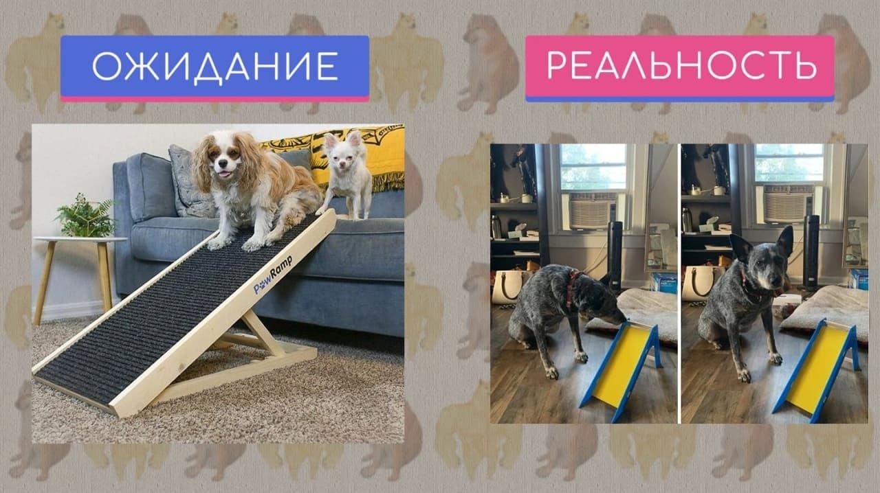 Дача ожидание и реальность смешные картинки
