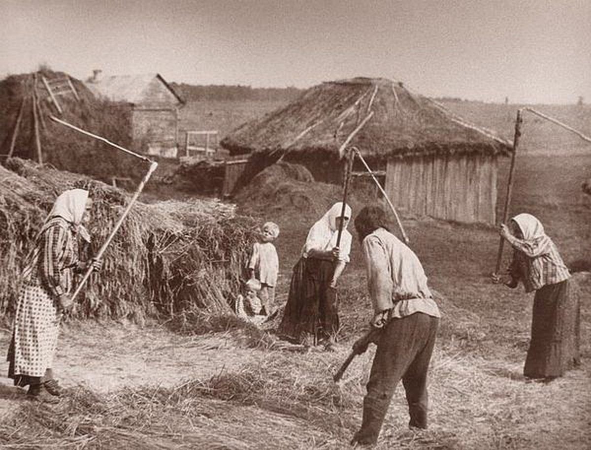 Молотьба пшеницы 19 век
