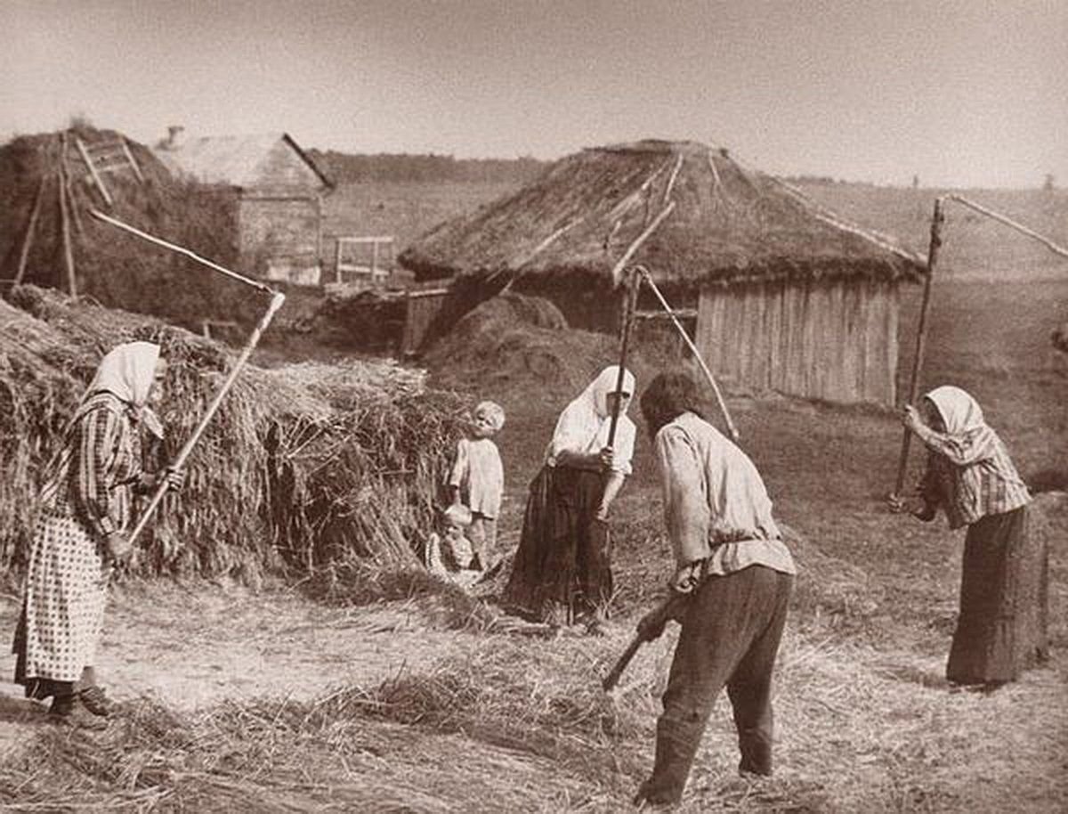 Крестьяне состояли в. Молотьба пшеницы 19 век. Есенин молотьба. Крестьяне молотьба 19 век. Обмолот льна.