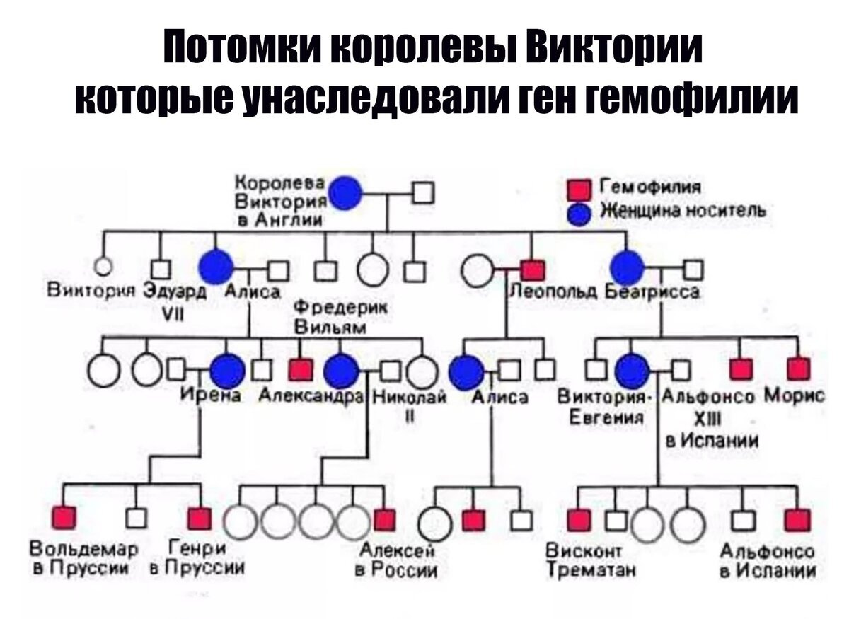 Потомки медичей в наши дни