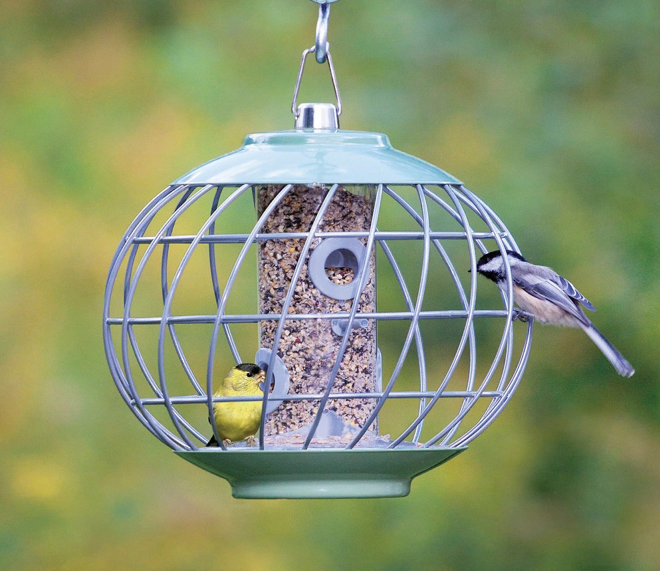 кормушка duncraft. кормушка антиголубь. красивые кормушки для птиц. противоголубиная кормушка. защита кормушек.