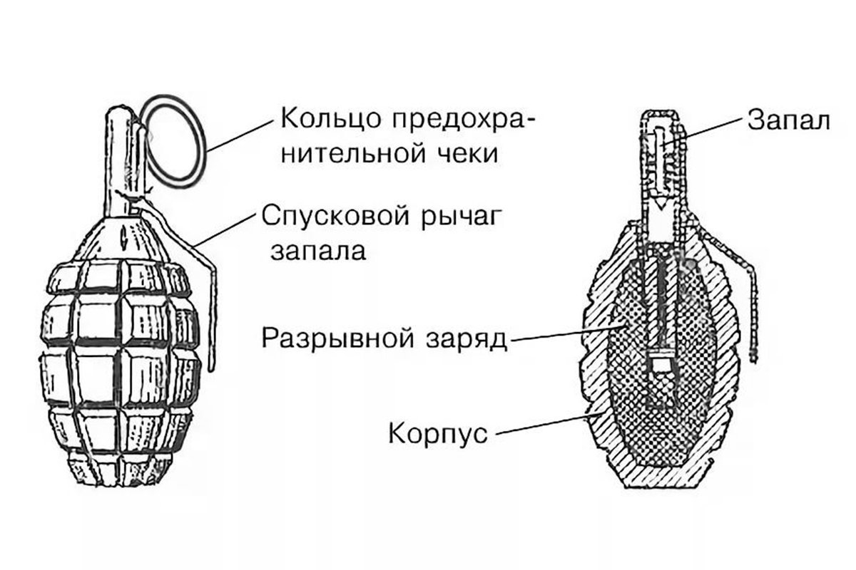 Гранаты данные. Схема гранаты ф1. Граната ф1 строение. Строение гранаты ф1. Составные части гранаты ф1.