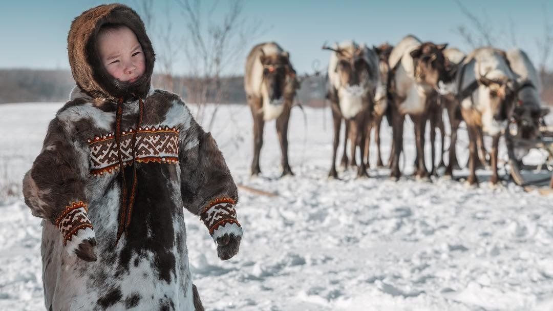 Народы тундры. Ямал тундра ненцы. Ямальская тундра и ненцы. Ненцы Канинская тундра. Ныда ненцы.