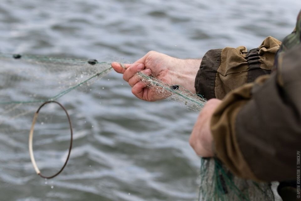 В нерест можно ловить. Ловля рыбы. Ловить рыбу. Запрет рыбной ловли.